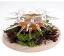 Тарелка 100%Chef "Sea Urchin"